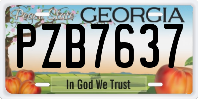 GA license plate PZB7637
