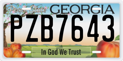 GA license plate PZB7643