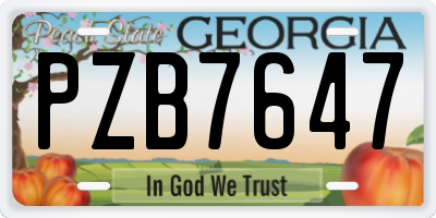 GA license plate PZB7647