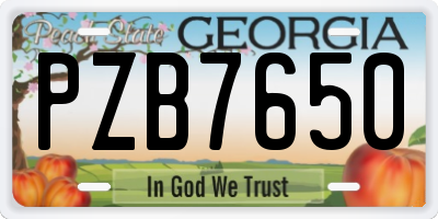 GA license plate PZB7650
