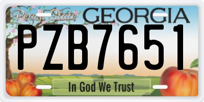 GA license plate PZB7651
