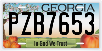 GA license plate PZB7653