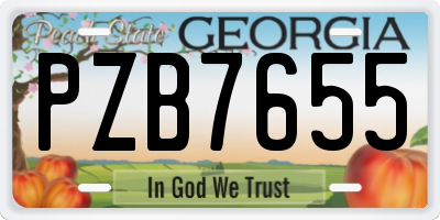 GA license plate PZB7655