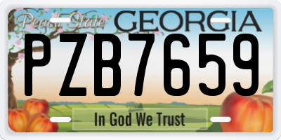 GA license plate PZB7659