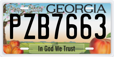 GA license plate PZB7663