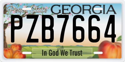 GA license plate PZB7664