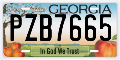 GA license plate PZB7665