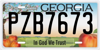 GA license plate PZB7673
