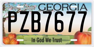 GA license plate PZB7677