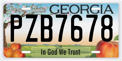 GA license plate PZB7678