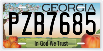 GA license plate PZB7685