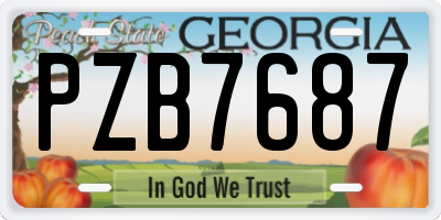 GA license plate PZB7687