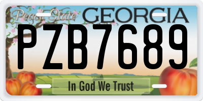 GA license plate PZB7689