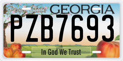 GA license plate PZB7693