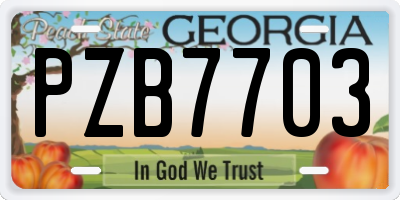 GA license plate PZB7703