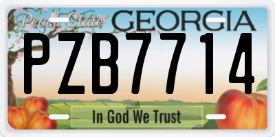 GA license plate PZB7714