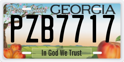 GA license plate PZB7717