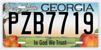 GA license plate PZB7719