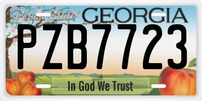 GA license plate PZB7723