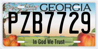 GA license plate PZB7729