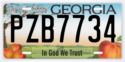 GA license plate PZB7734