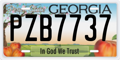 GA license plate PZB7737