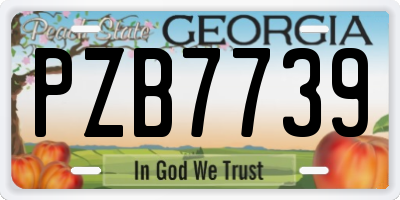 GA license plate PZB7739