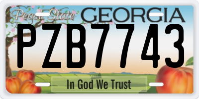 GA license plate PZB7743