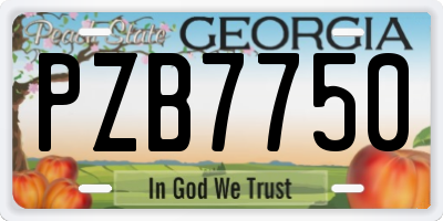 GA license plate PZB7750
