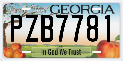 GA license plate PZB7781