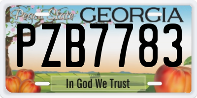 GA license plate PZB7783