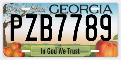 GA license plate PZB7789