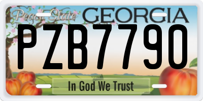 GA license plate PZB7790