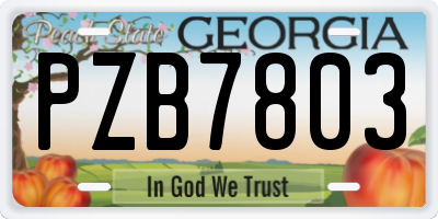 GA license plate PZB7803