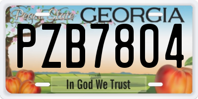 GA license plate PZB7804