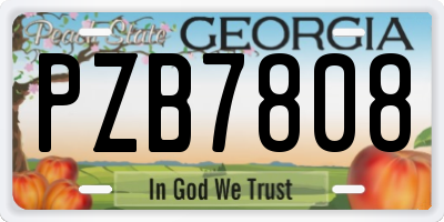 GA license plate PZB7808