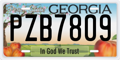 GA license plate PZB7809