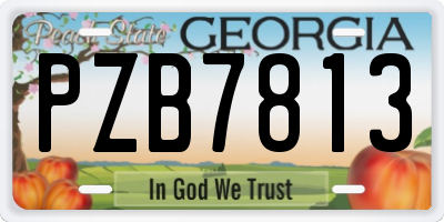 GA license plate PZB7813