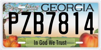 GA license plate PZB7814