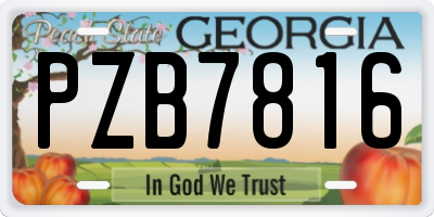 GA license plate PZB7816