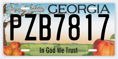 GA license plate PZB7817