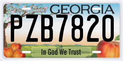 GA license plate PZB7820