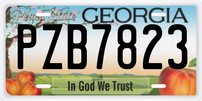 GA license plate PZB7823