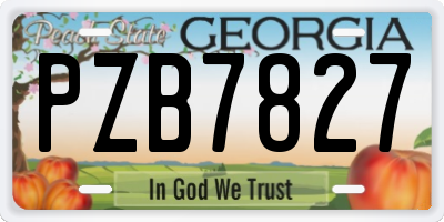 GA license plate PZB7827