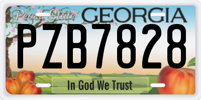 GA license plate PZB7828