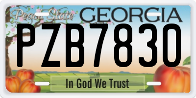 GA license plate PZB7830