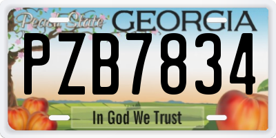 GA license plate PZB7834