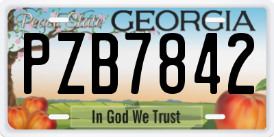 GA license plate PZB7842