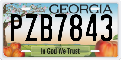 GA license plate PZB7843