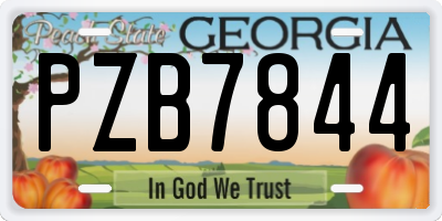 GA license plate PZB7844